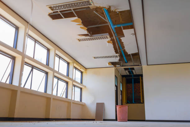 Best Flooded house restoration  in Haines City, FL