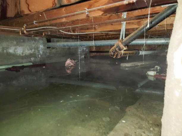 Trusted FL Water damage restoration Experts