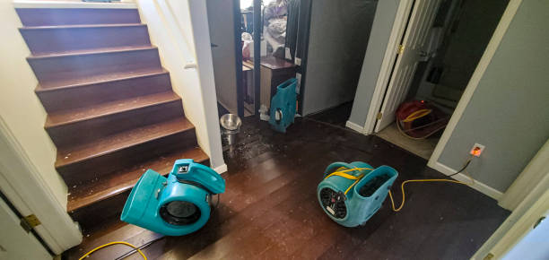 Best Water damage cleanup near me  in Haines City, FL