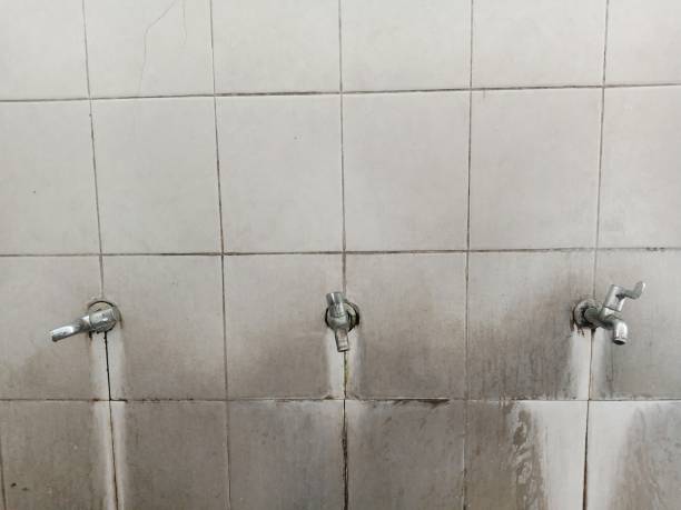 Best Sewage cleanup and water damage restoration  in Haines City, FL